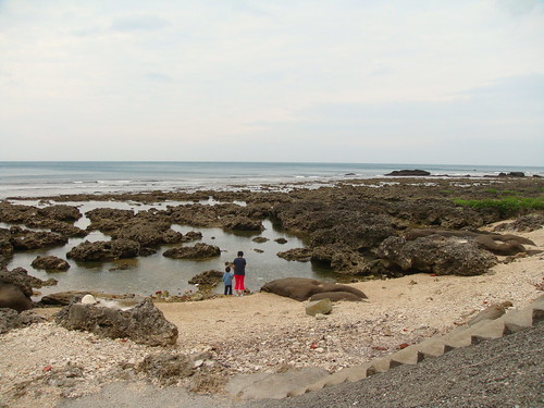 sheenayeh 拍攝的 20081125萬里桐海灘。