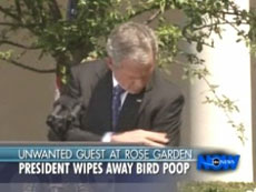 bush bird poop