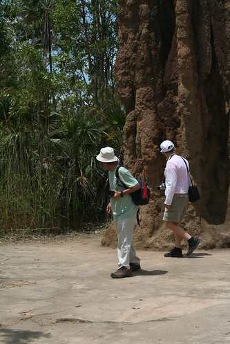 Magnetic Termite Mound, Litchfield National Park