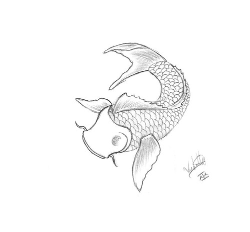 How to draw koi fish images