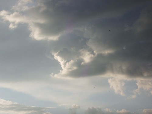 clouds and bird