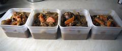 beef, orange and ginger casserole