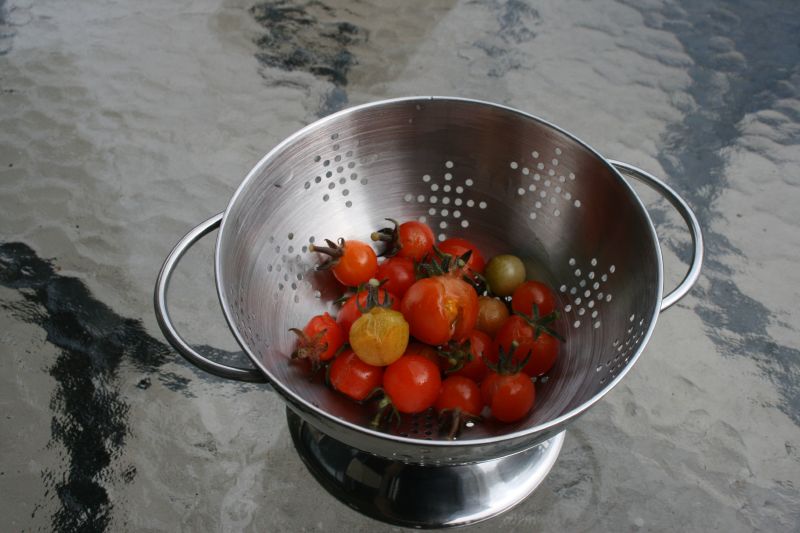 Rain-split tomatoes