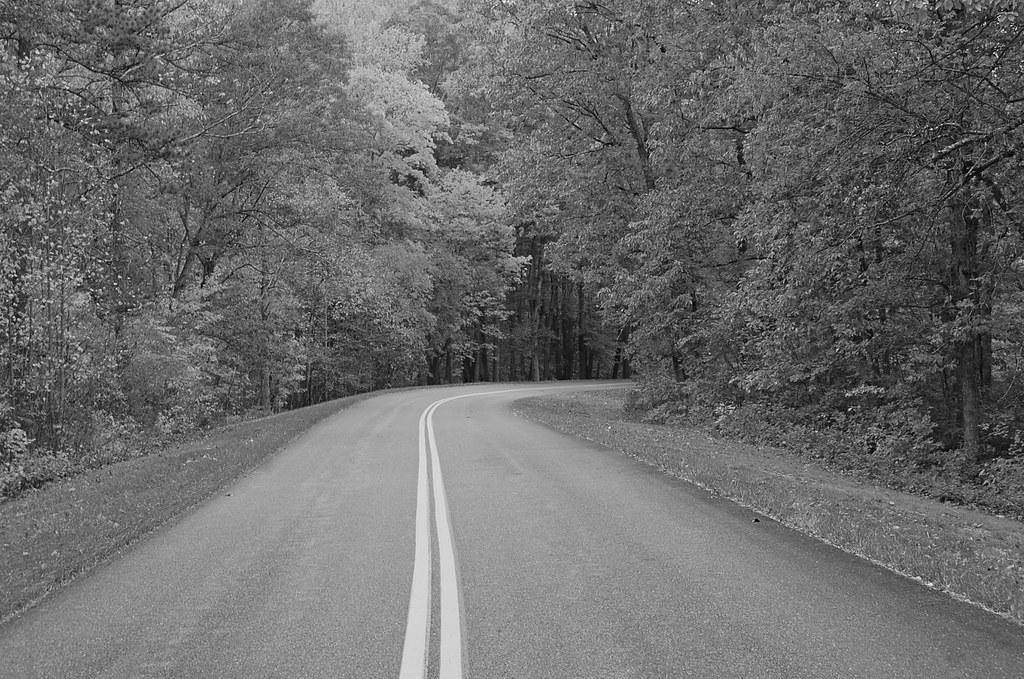 2008Oct - Blue Ridge Parkway - Fall 4