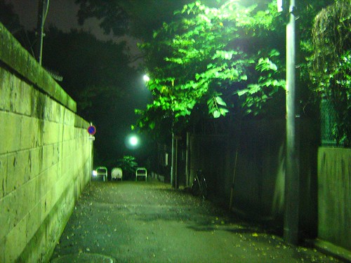 Late night solitary walk 1