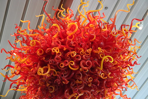 chihuly 003