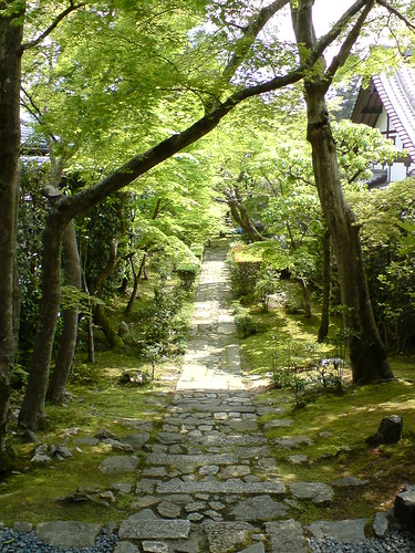 a pathway through the forest in japan