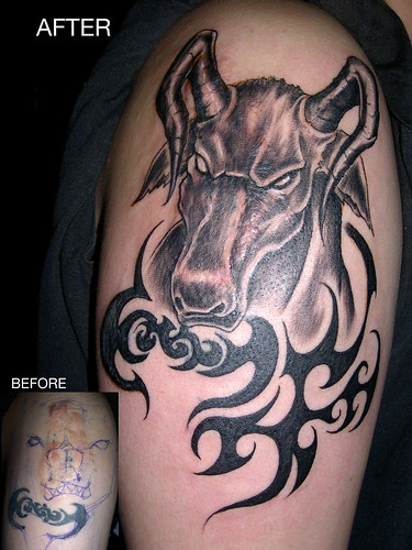  Old Tattoo and Scar Cover up cover