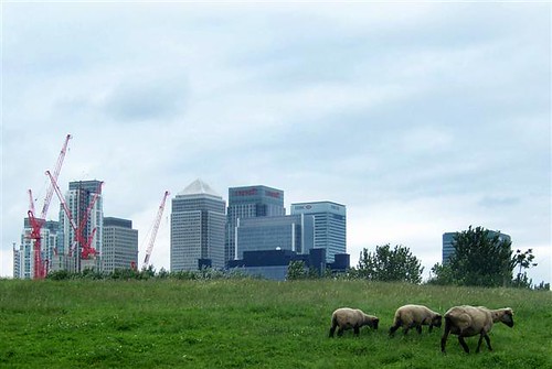 City Farm with Docklands