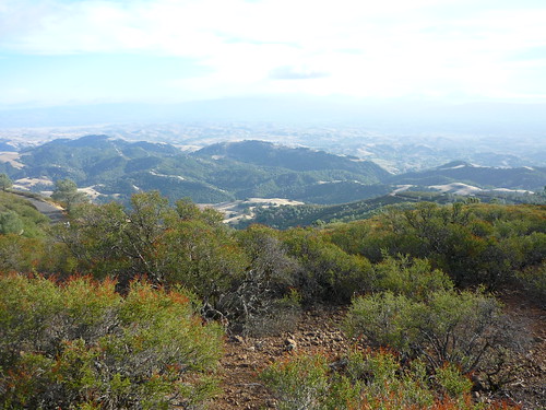 Mt. Diablo View