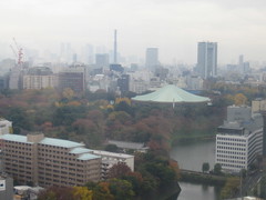 Imperial Palace Fall Leaves