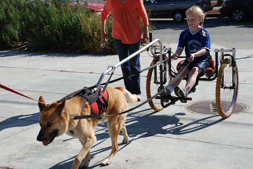 Girl with Dog Cart