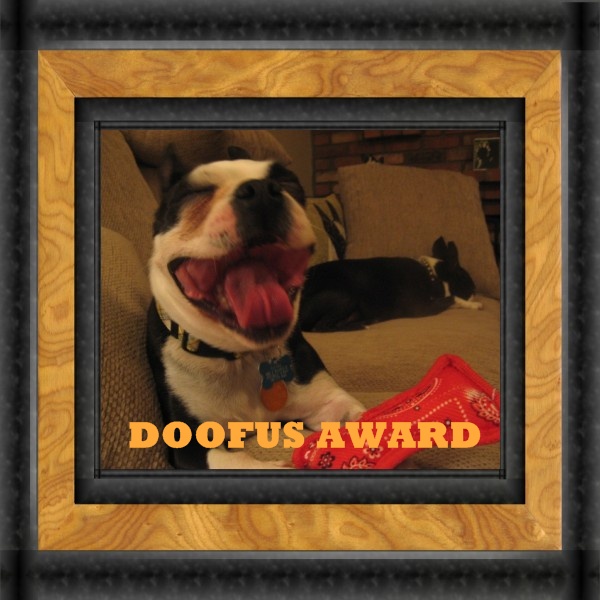 doofus award