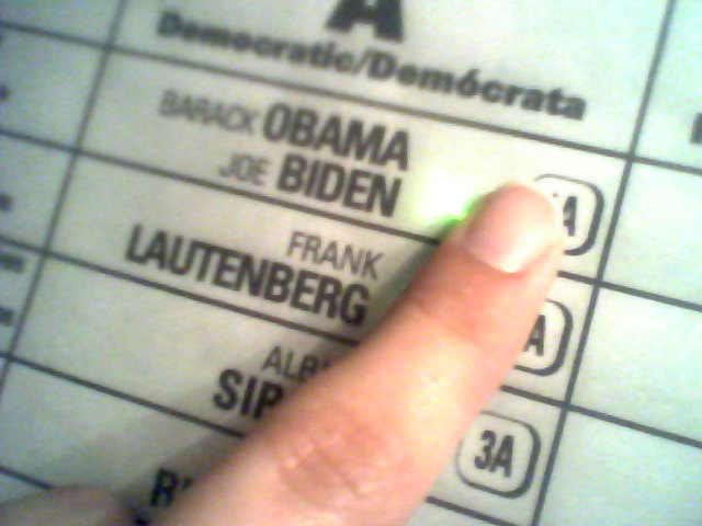 voted this morning!