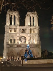 notre_dame_wb_cropped_rotated.4868
