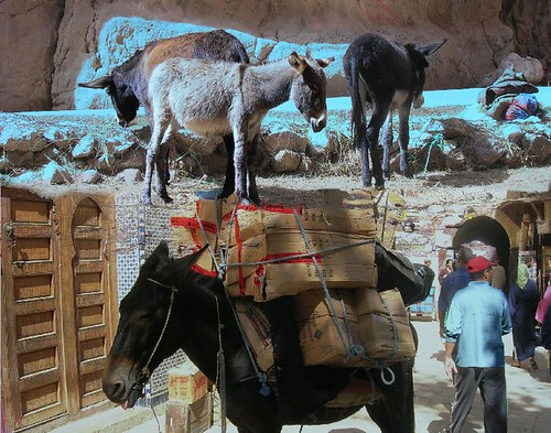 Donkey’s Life, art by Paul Baker