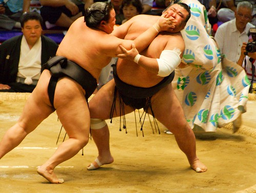 2733018174 bd0bb5ae0c Sumo: deporte mítico del Japón