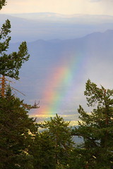 Rainbow, Albuquerque, NM