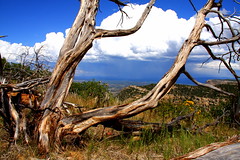 Mesa Verde National Park, CO