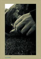 Smoking Emotions