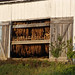Amish Tobacco Barn Doors