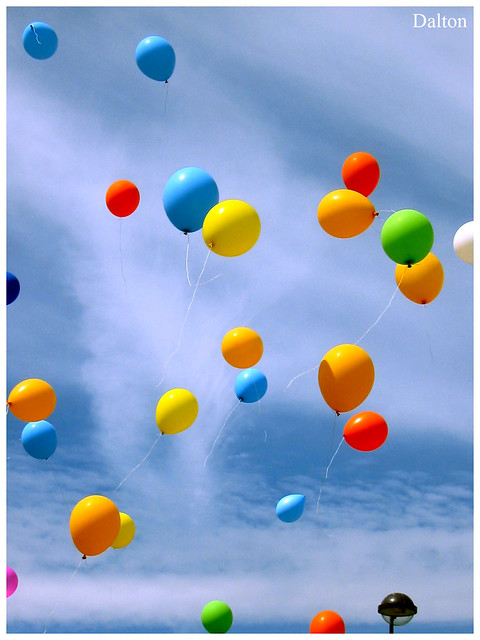 baloes coloridos/ colored balloons photo