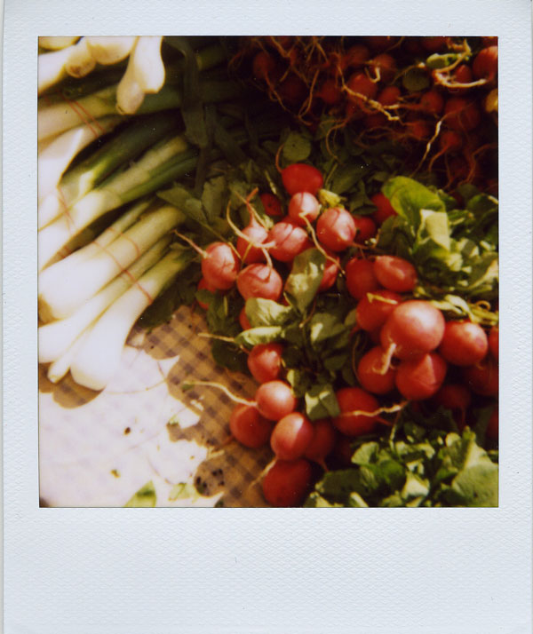 may17: radishes