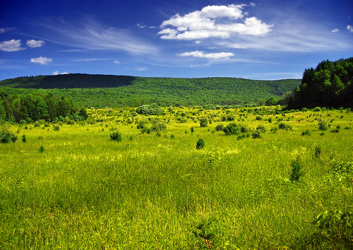  フリー画像| 自然風景| 草原の風景| アメリカ風景|        フリー素材| 