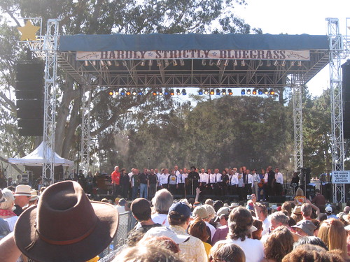 Elvis Costello, Hardly Strictly Bluegrass Festival, Oct. 5, 2008