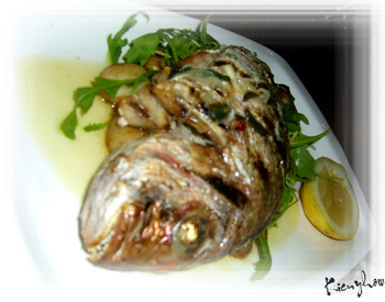 Baby Snapper @ Waterfront