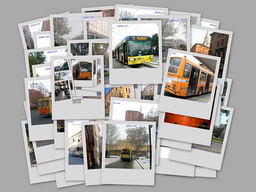 collage...con filobus ed autobus