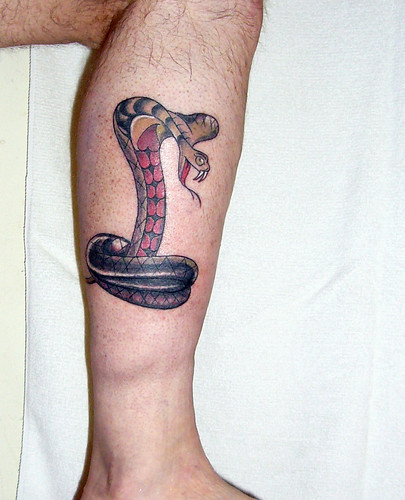 I just got a new tattoo today. It is the first tat on my legs. The snake tat 