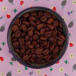 Sumatra Aceh Arinagata Fair Trade/Organic - Buyer's Roast Level Choice- One pound whole bean