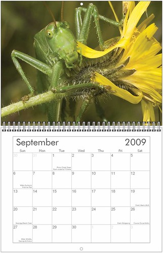 september calendar 2009. Calendar+2009+september
