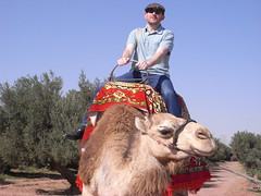 Dave on a Camel