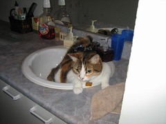 Carly in sink