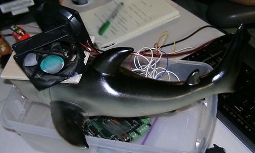 Emergent Engineering Shark