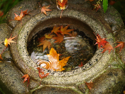 Fountain @ Japanese Garden PDX by stetr24vw.