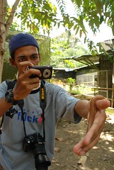 Sir Mart Outdoorgraphy™ @ Butterfly Farm #7
