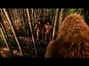 06 Gigantopithecus (the real King Kong) and little Peking men