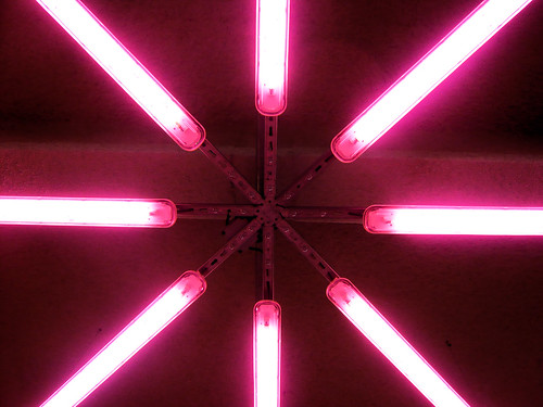 pink neon lights