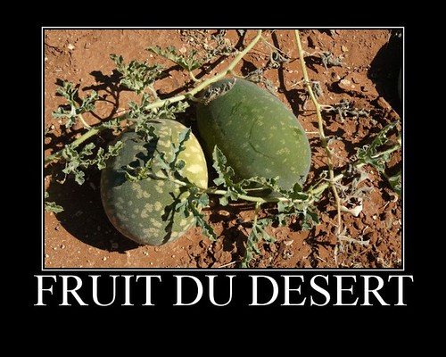 Fruit du desert