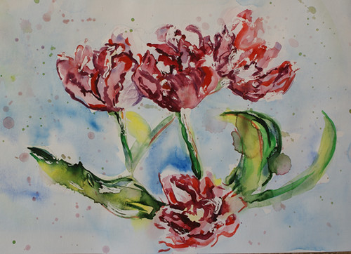 Tulips - watercolour sketch