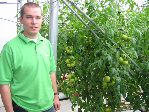 Me & the tomatoes