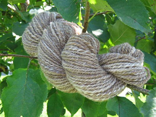 Appletree Wool Worm