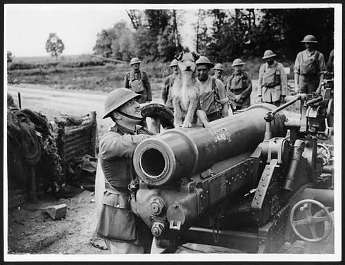 world war 1 guns. France, during World War I