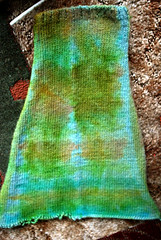 green sleeve dyed