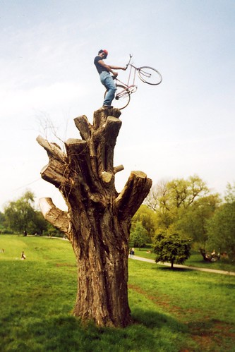 Treebike
