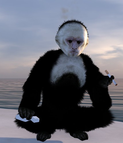 Zooby Monkey Avatar