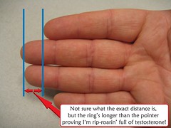 Thumb Tener el dedo anular más largo que el índice indica éxito financiero